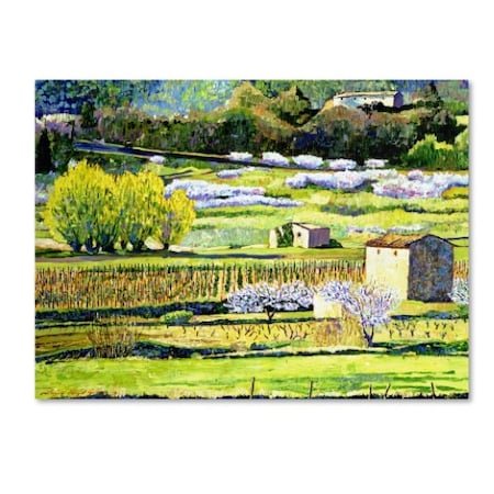 Trademark Fine Art David Lloyd Glover 'Bordeaux Vineyards in Spring' Canvas Art, 26x32 DLG0009-C2632GG